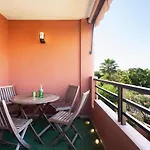 Paradise Palms