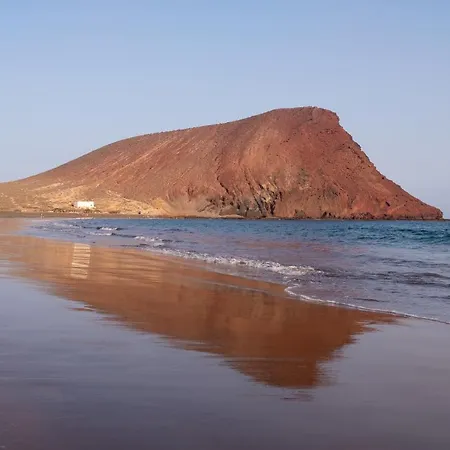 Paradise Palms Daire *